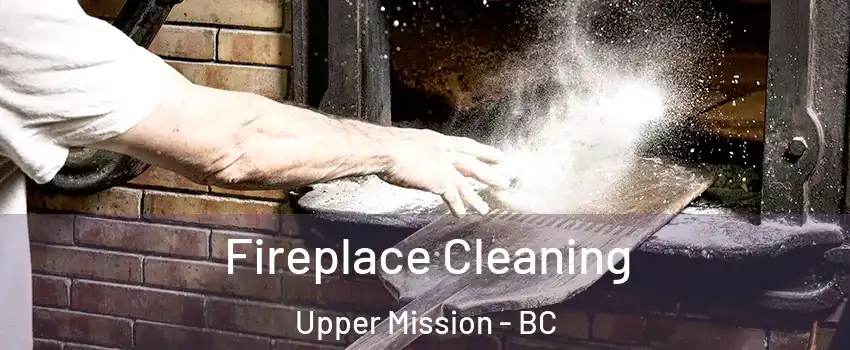  Fireplace Cleaning Upper Mission - BC