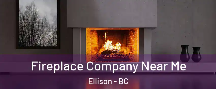  Fireplace Company Near Me Ellison - BC