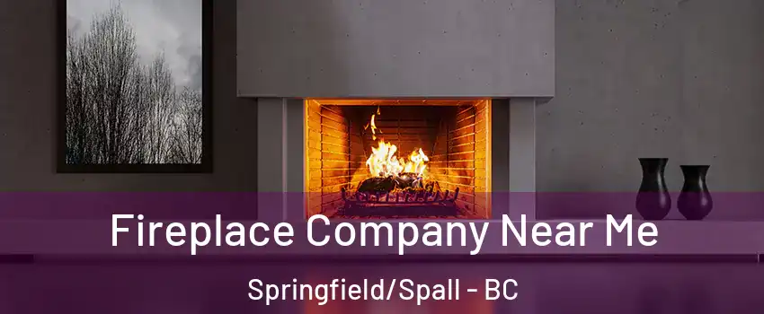 Fireplace Company Near Me Springfield/Spall - BC