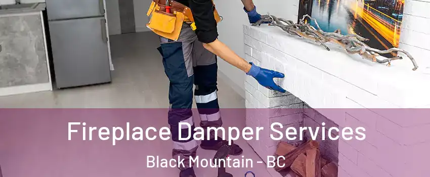 Fireplace Damper Services Black Mountain - BC