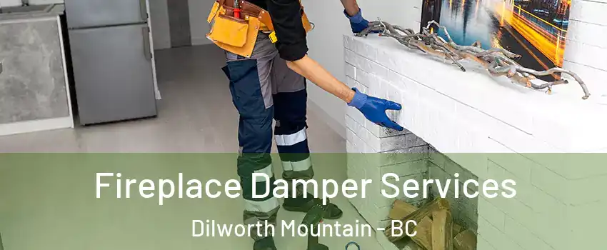 Fireplace Damper Services Dilworth Mountain - BC
