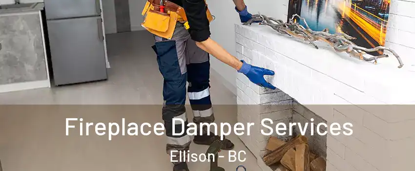 Fireplace Damper Services Ellison - BC