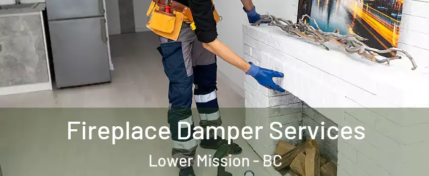Fireplace Damper Services Lower Mission - BC