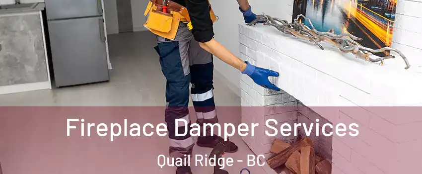 Fireplace Damper Services Quail Ridge - BC