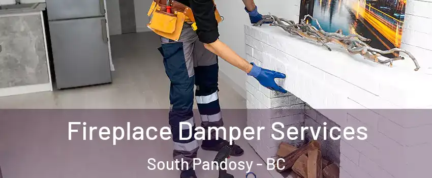 Fireplace Damper Services South Pandosy - BC