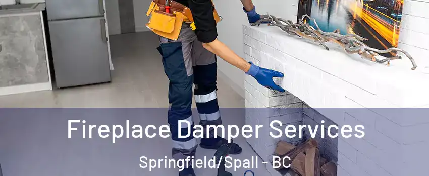 Fireplace Damper Services Springfield/Spall - BC