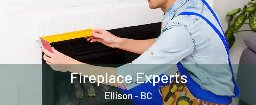  Fireplace Experts Ellison - BC
