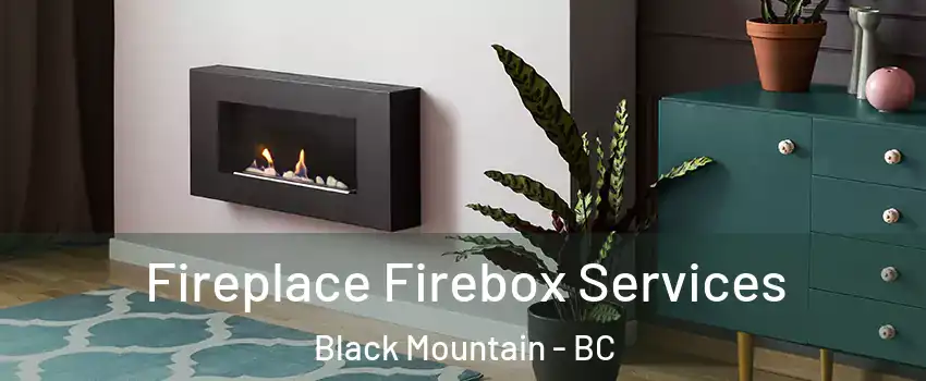  Fireplace Firebox Services Black Mountain - BC