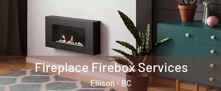  Fireplace Firebox Services Ellison - BC