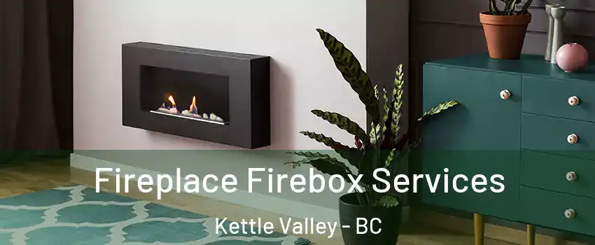  Fireplace Firebox Services Kettle Valley - BC