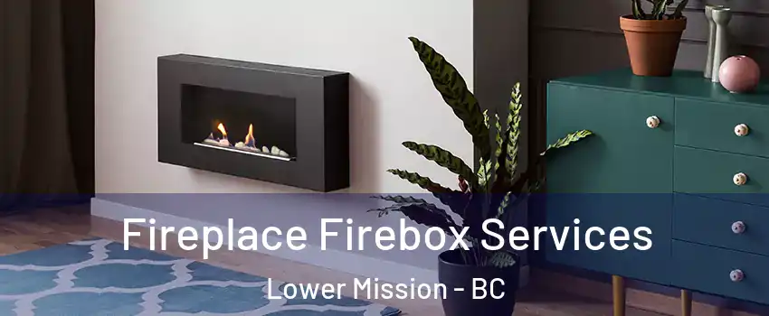  Fireplace Firebox Services Lower Mission - BC