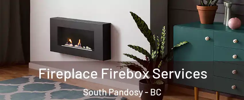  Fireplace Firebox Services South Pandosy - BC