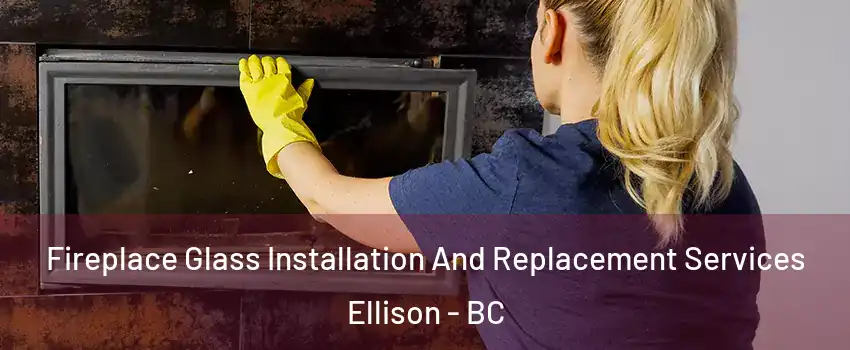  Fireplace Glass Installation And Replacement Services Ellison - BC