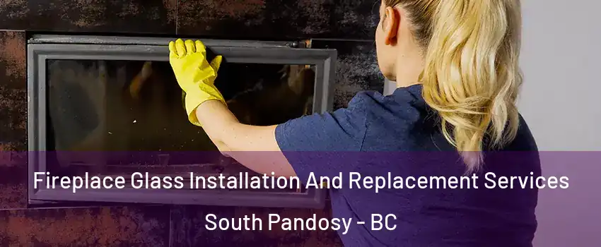  Fireplace Glass Installation And Replacement Services South Pandosy - BC
