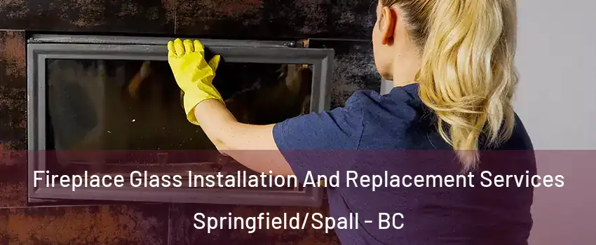  Fireplace Glass Installation And Replacement Services Springfield/Spall - BC