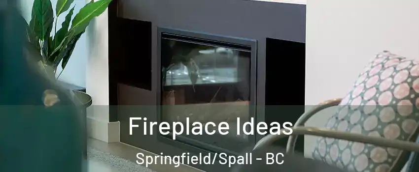 Fireplace Ideas Springfield/Spall - BC