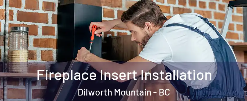  Fireplace Insert Installation Dilworth Mountain - BC