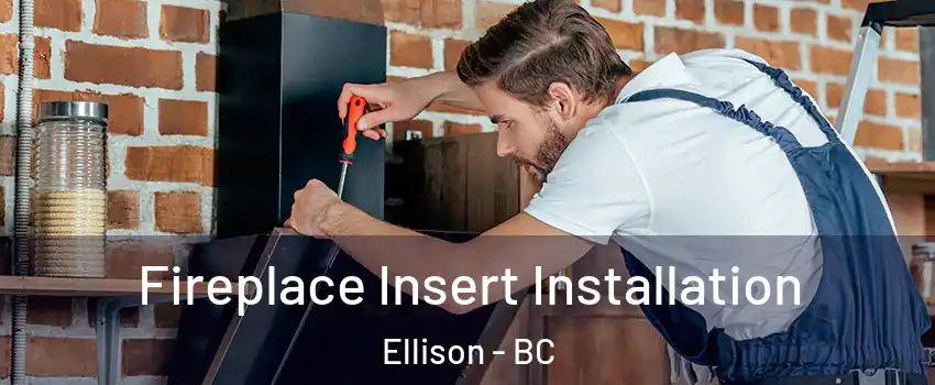  Fireplace Insert Installation Ellison - BC