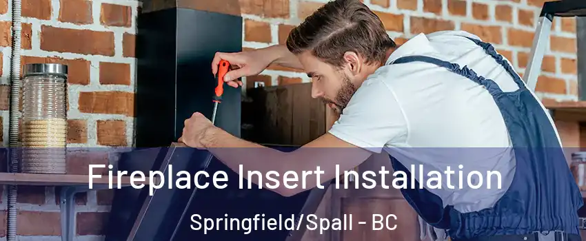  Fireplace Insert Installation Springfield/Spall - BC