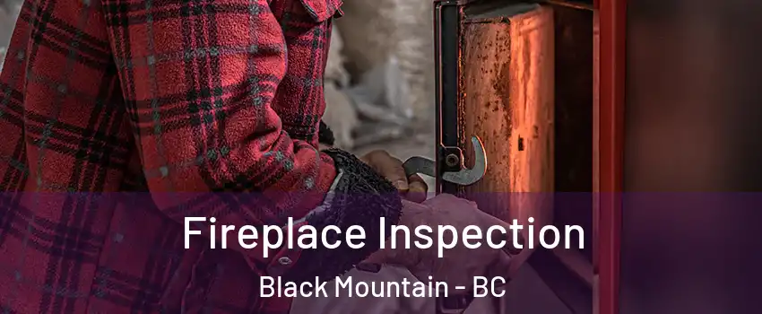  Fireplace Inspection Black Mountain - BC