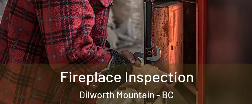  Fireplace Inspection Dilworth Mountain - BC