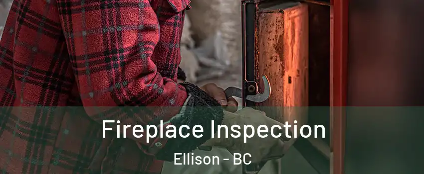  Fireplace Inspection Ellison - BC