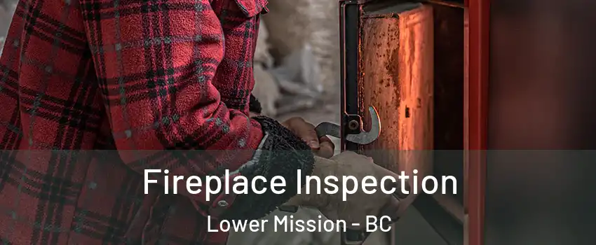  Fireplace Inspection Lower Mission - BC