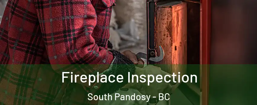  Fireplace Inspection South Pandosy - BC