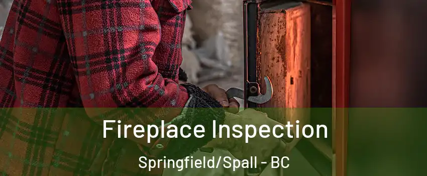  Fireplace Inspection Springfield/Spall - BC