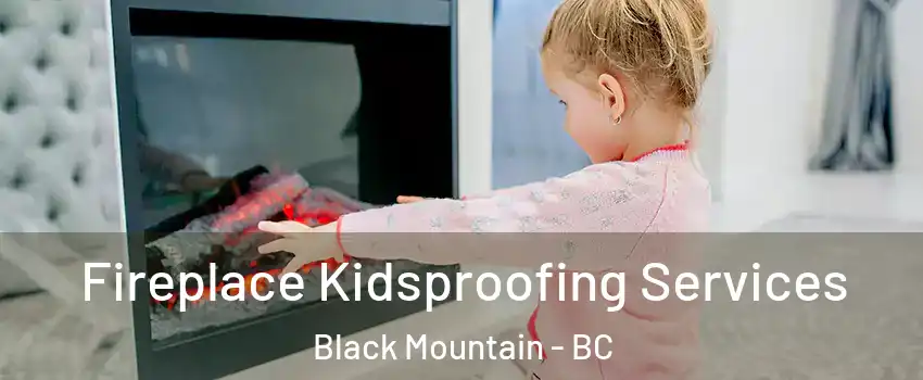  Fireplace Kidsproofing Services Black Mountain - BC