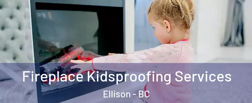  Fireplace Kidsproofing Services Ellison - BC