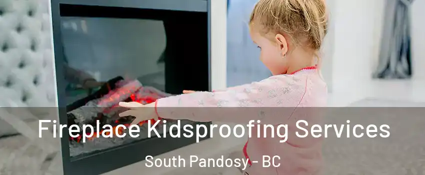  Fireplace Kidsproofing Services South Pandosy - BC