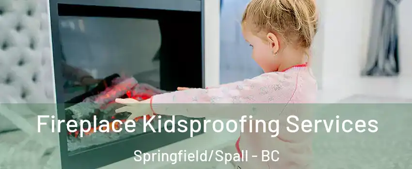  Fireplace Kidsproofing Services Springfield/Spall - BC