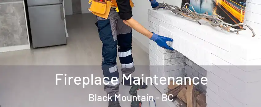  Fireplace Maintenance Black Mountain - BC