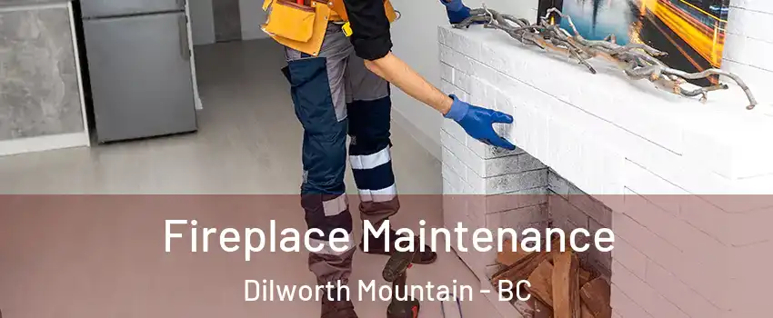  Fireplace Maintenance Dilworth Mountain - BC