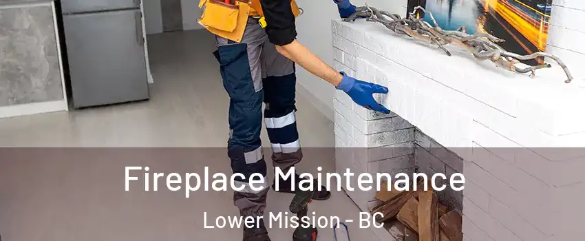  Fireplace Maintenance Lower Mission - BC