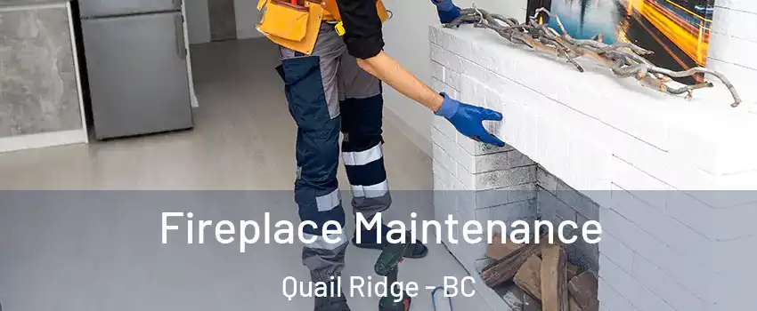  Fireplace Maintenance Quail Ridge - BC