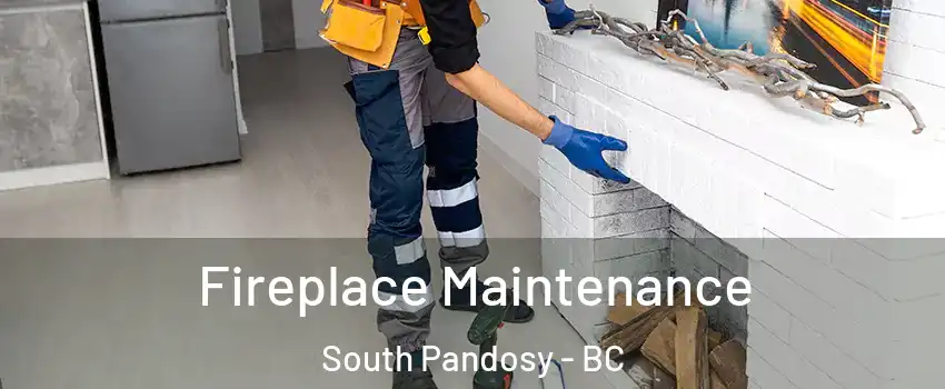  Fireplace Maintenance South Pandosy - BC