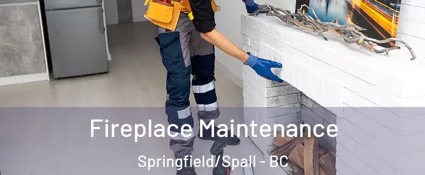  Fireplace Maintenance Springfield/Spall - BC