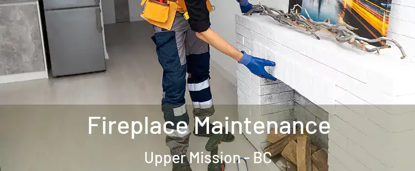  Fireplace Maintenance Upper Mission - BC