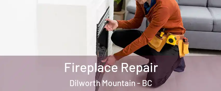  Fireplace Repair Dilworth Mountain - BC