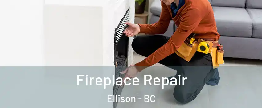  Fireplace Repair Ellison - BC