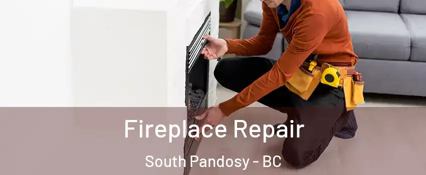  Fireplace Repair South Pandosy - BC