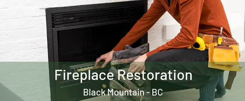  Fireplace Restoration Black Mountain - BC