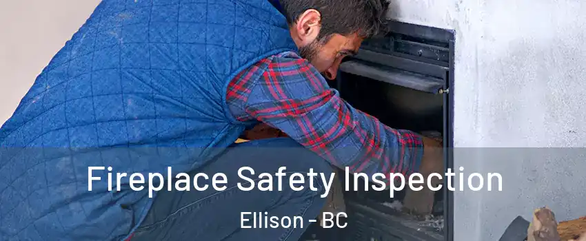  Fireplace Safety Inspection Ellison - BC