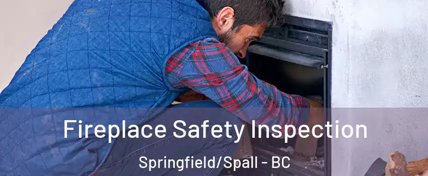 Fireplace Safety Inspection Springfield/Spall - BC
