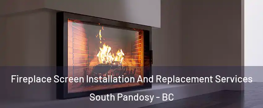 Fireplace Screen Installation And Replacement Services South Pandosy - BC