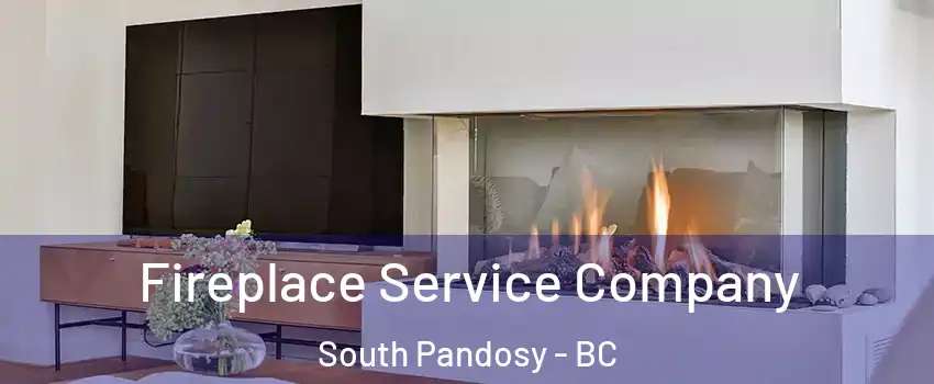 Fireplace Service Company South Pandosy - BC