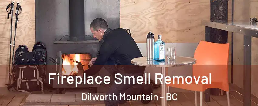  Fireplace Smell Removal Dilworth Mountain - BC