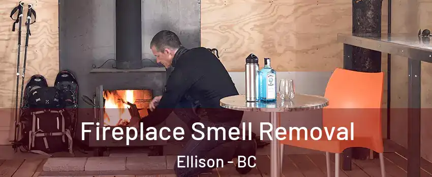  Fireplace Smell Removal Ellison - BC